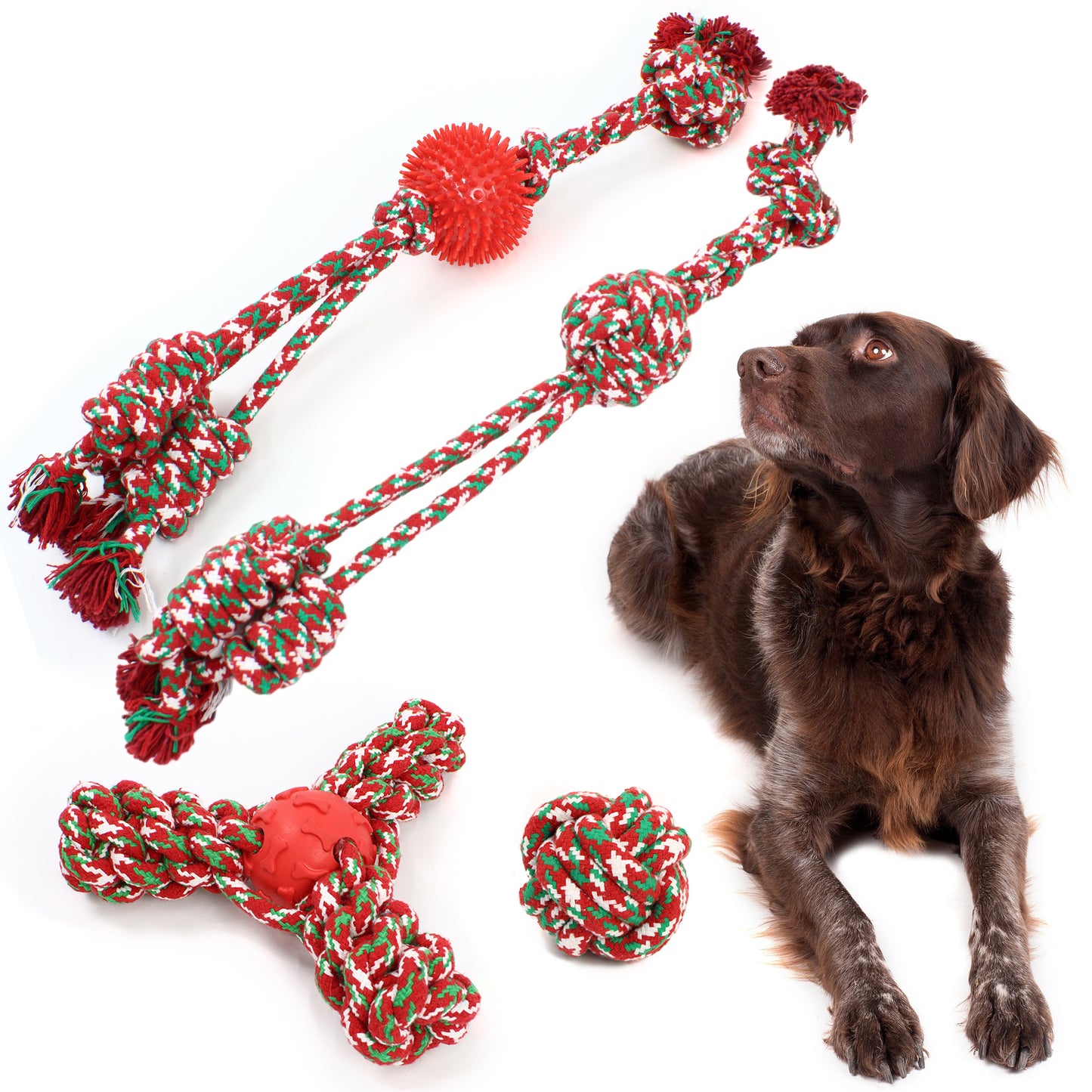 Christmas Dog Rope Toys