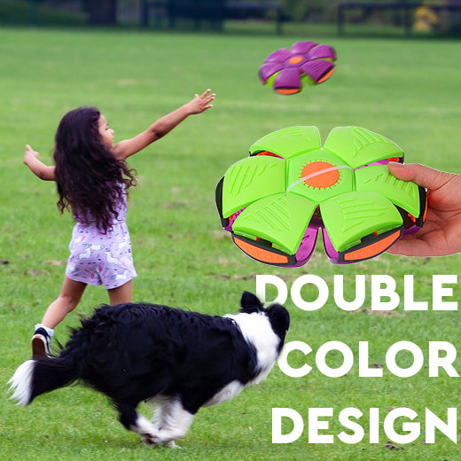 Pet Flying Saucer Ball Toy