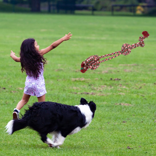Christmas Dog Rope Toys