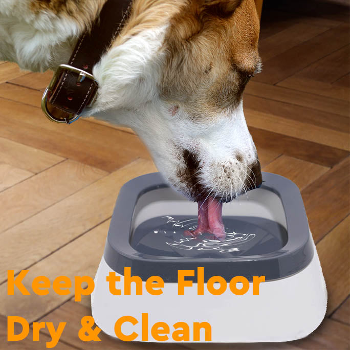 Anti-Splash Pet Water Bowl