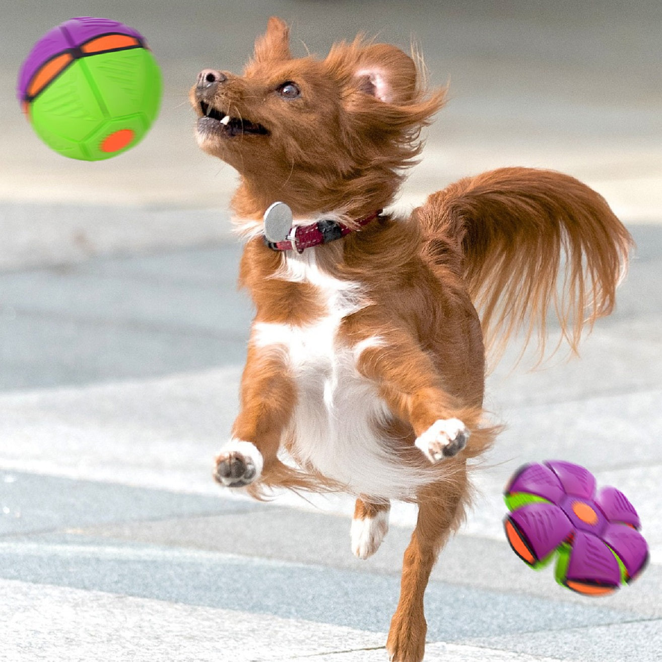 Pet Flying Saucer Ball Toy