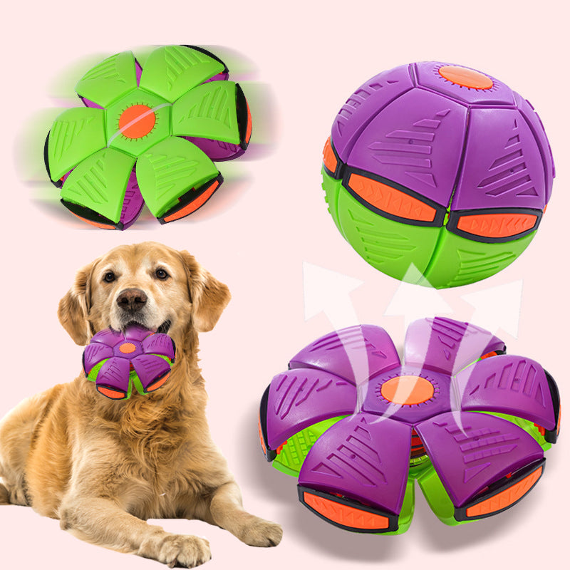 Pet Flying Saucer Ball Toy