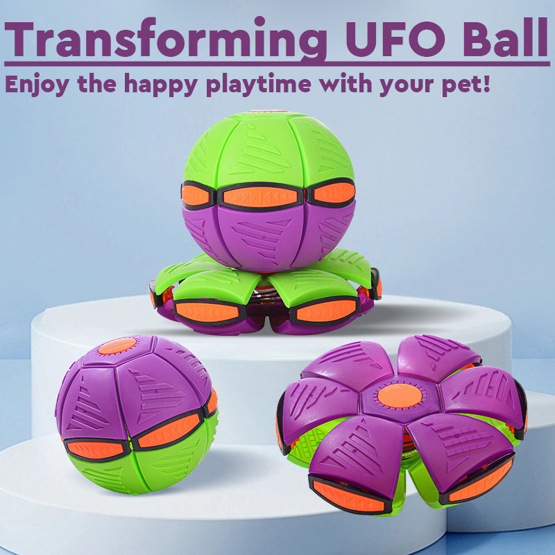 Pet Flying Saucer Ball Toy