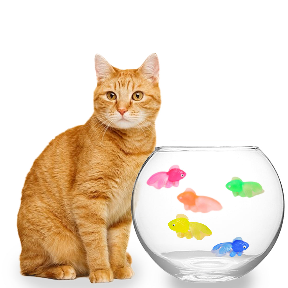 Goldfish Cat Toy - Mix
