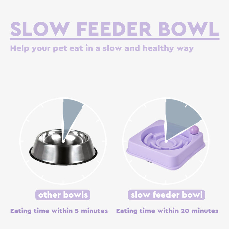 Dog Slow Feeder Bowl - Record Player