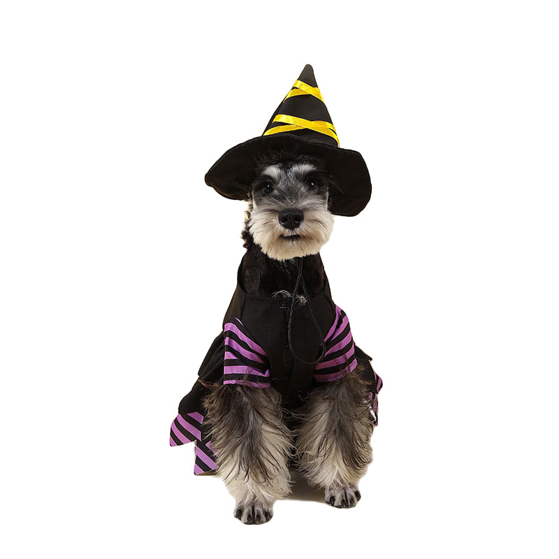 Halloween Witch Pet Cosplay Costume for Dog