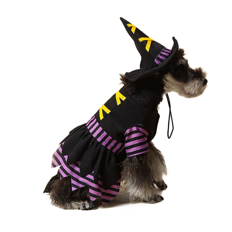 Halloween Witch Pet Cosplay Costume for Dog