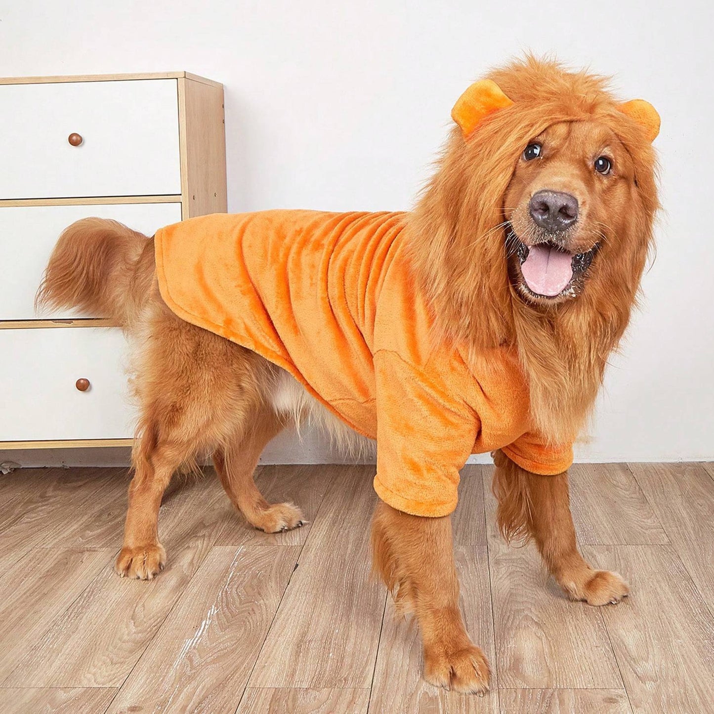 Halloween Lion Dog Cosplay Costume