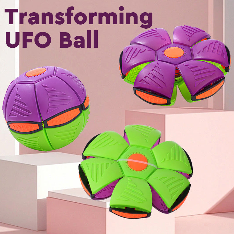 Pet Flying Saucer Ball Toy