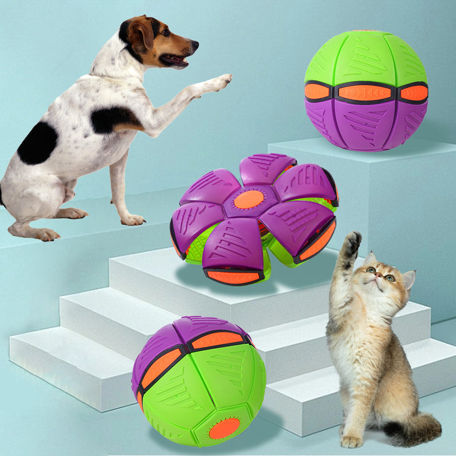 Pet Flying Saucer Ball Toy
