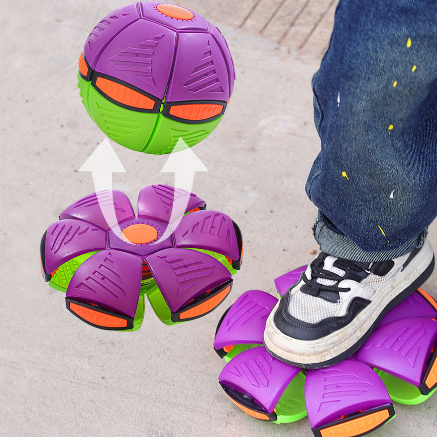 Pet Flying Saucer Ball Toy