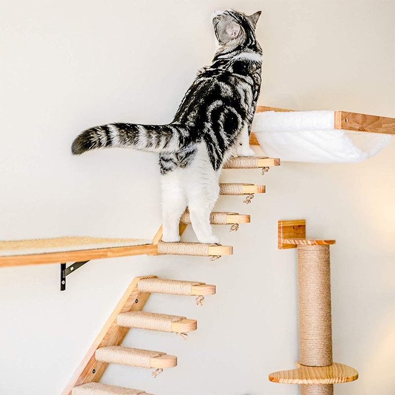 Multiple-Level Cat Hammock & Climbing Activity Center Wall-Mounted Cat Tree Shelves