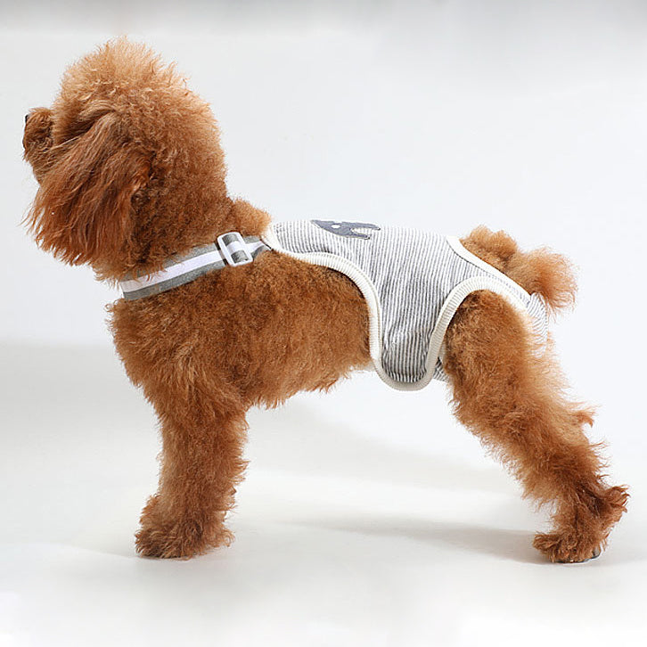 Female Dog Diapers