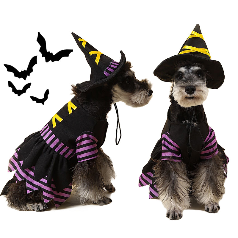 Halloween Witch Pet Cosplay Costume for Dog