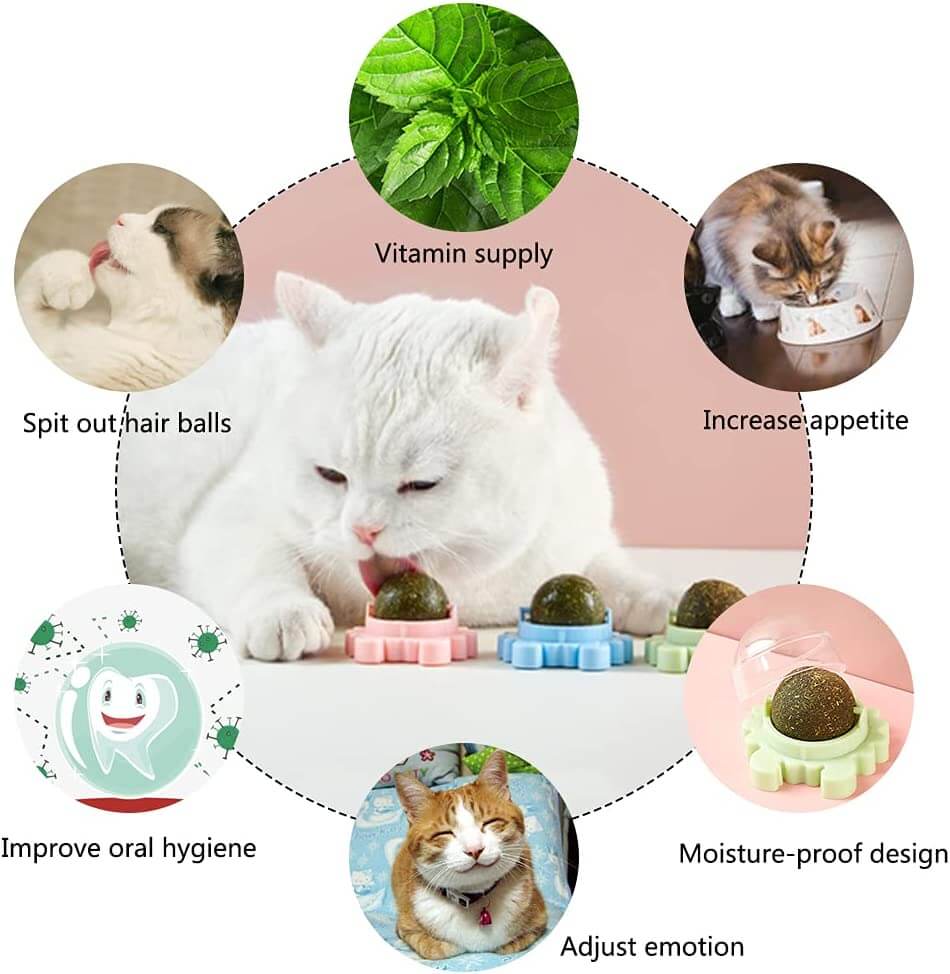 360° Crab Rotated Catnip Ball Molar Teeth Licking°