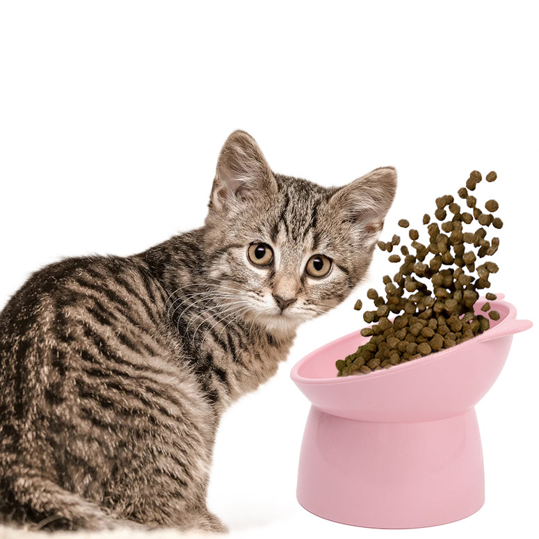BOWLS & FEEDERS