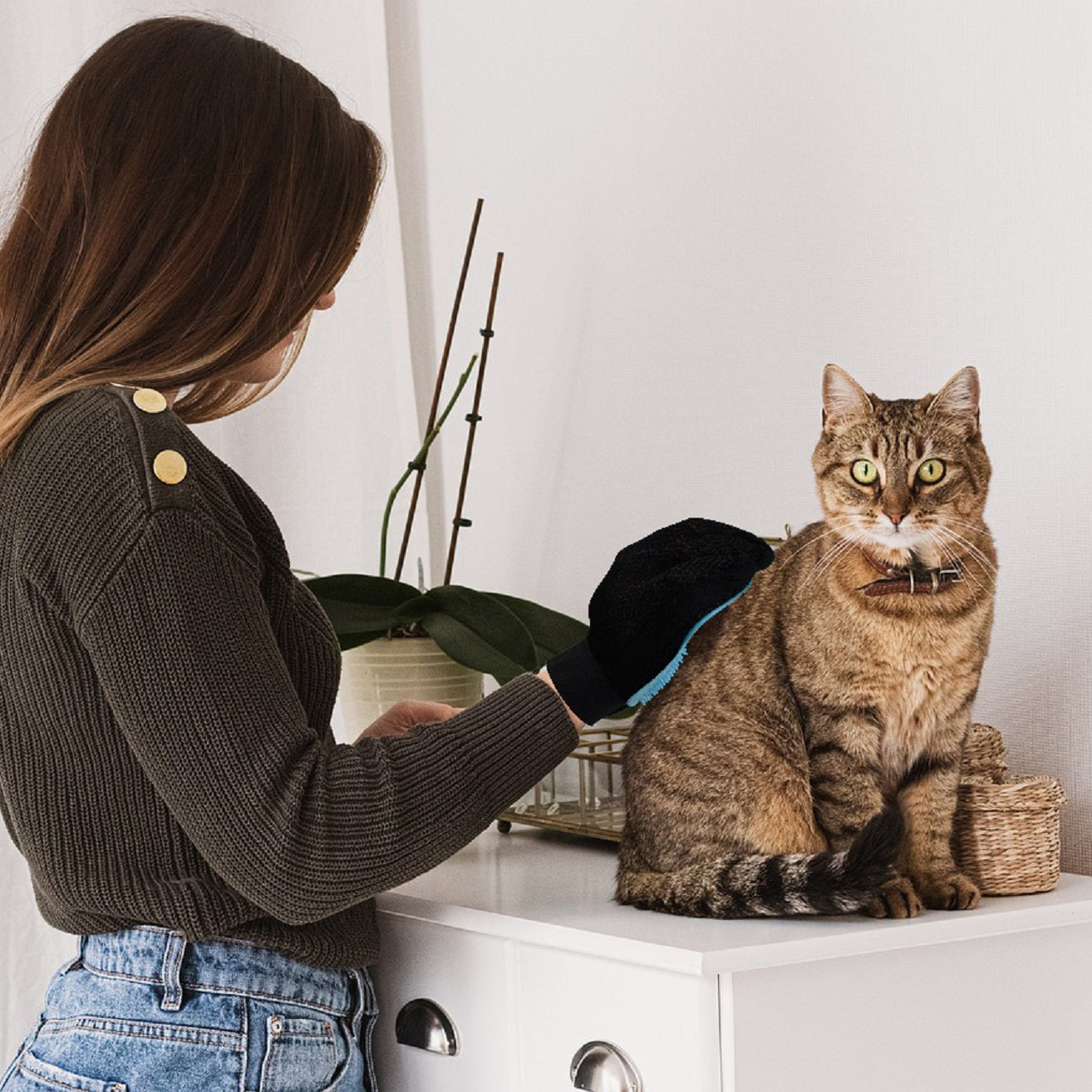PET GROOMING
