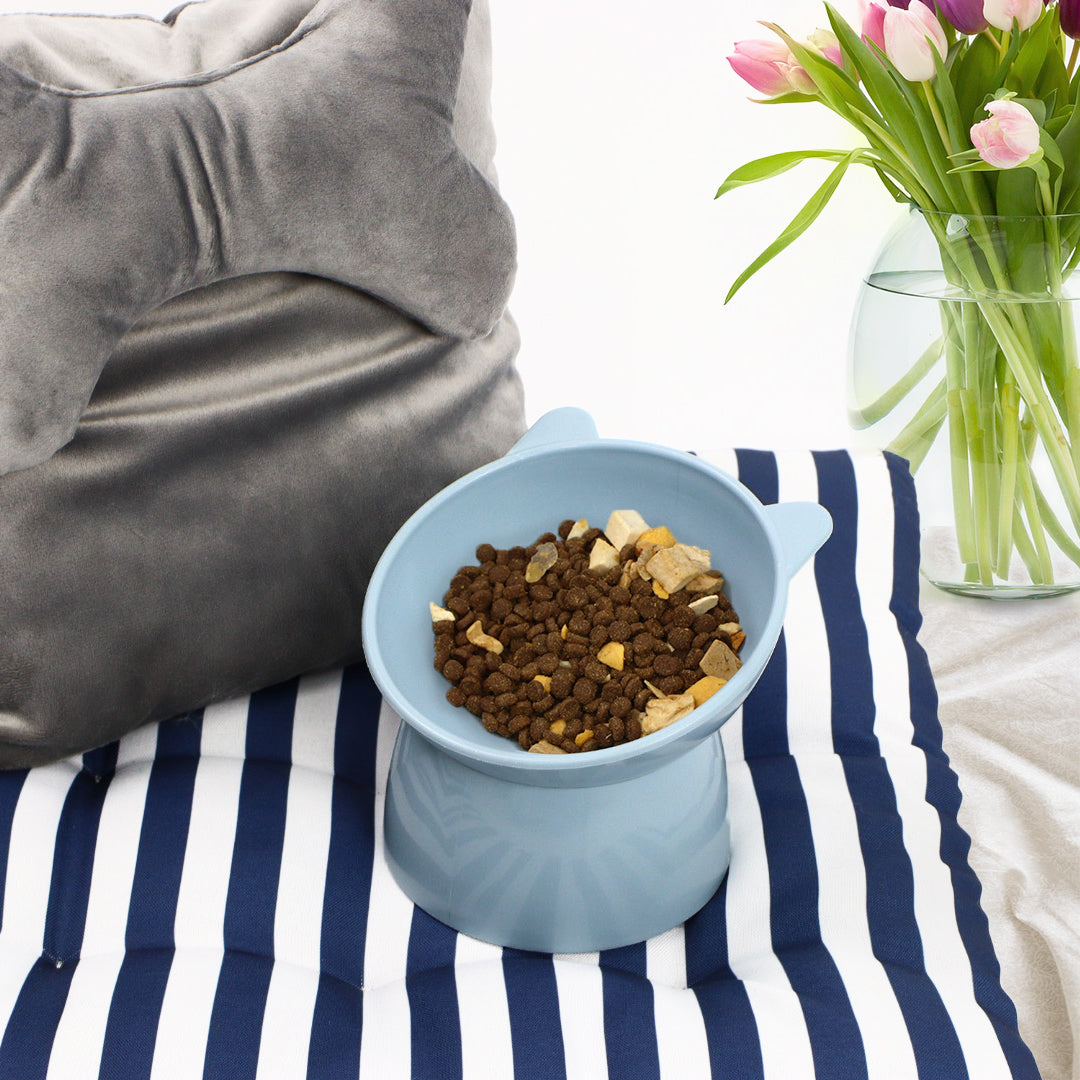 Elevated Cat Feeder Bowl