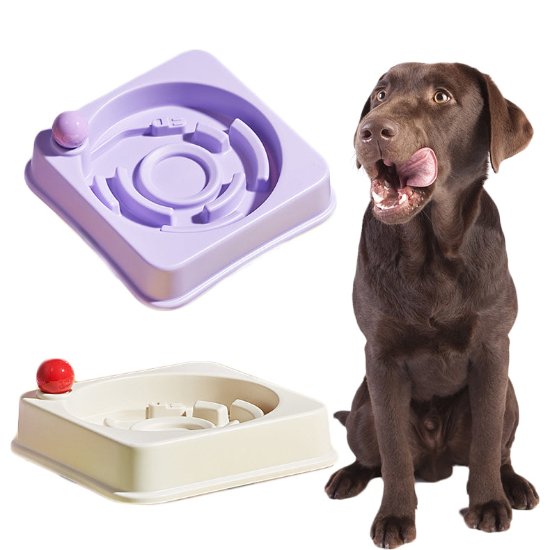Dog Slow Feeder Bowl - Record Player