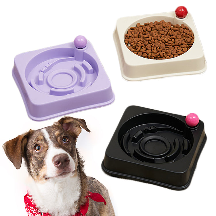 Dog Slow Feeder Bowl - Record Player