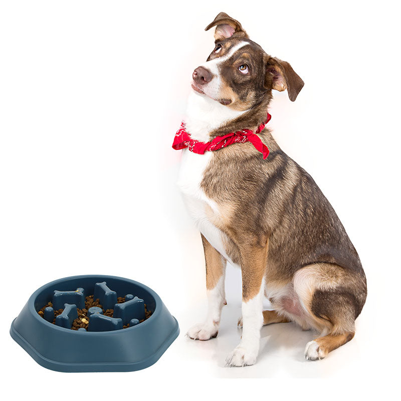 Dog Slow Feeder Bowl - Bone