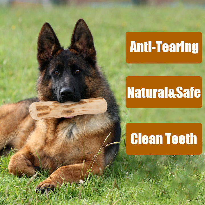 Dog Coffee Wood Chewing Stick