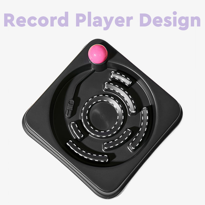Dog Slow Feeder Bowl - Record Player