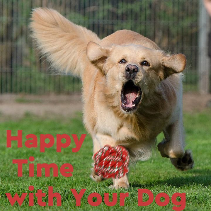 Christmas Dog Rope Toys