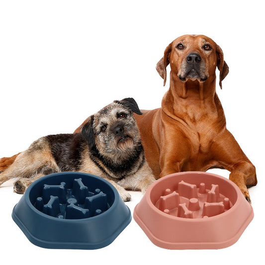 Dog Slow Feeder Bowl - Bone