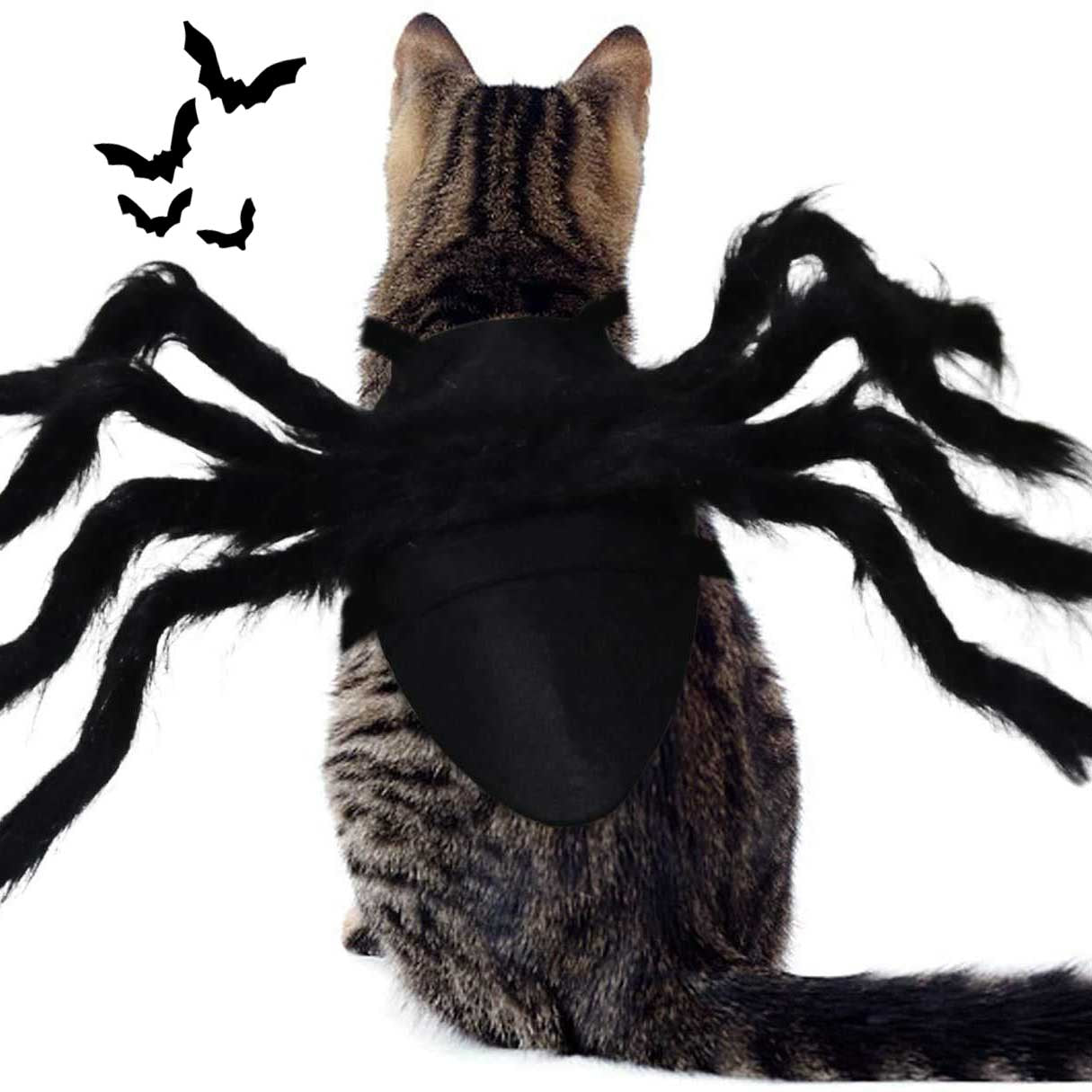 Halloween Spider Cosplay Pet Costume for Cats and Dogs