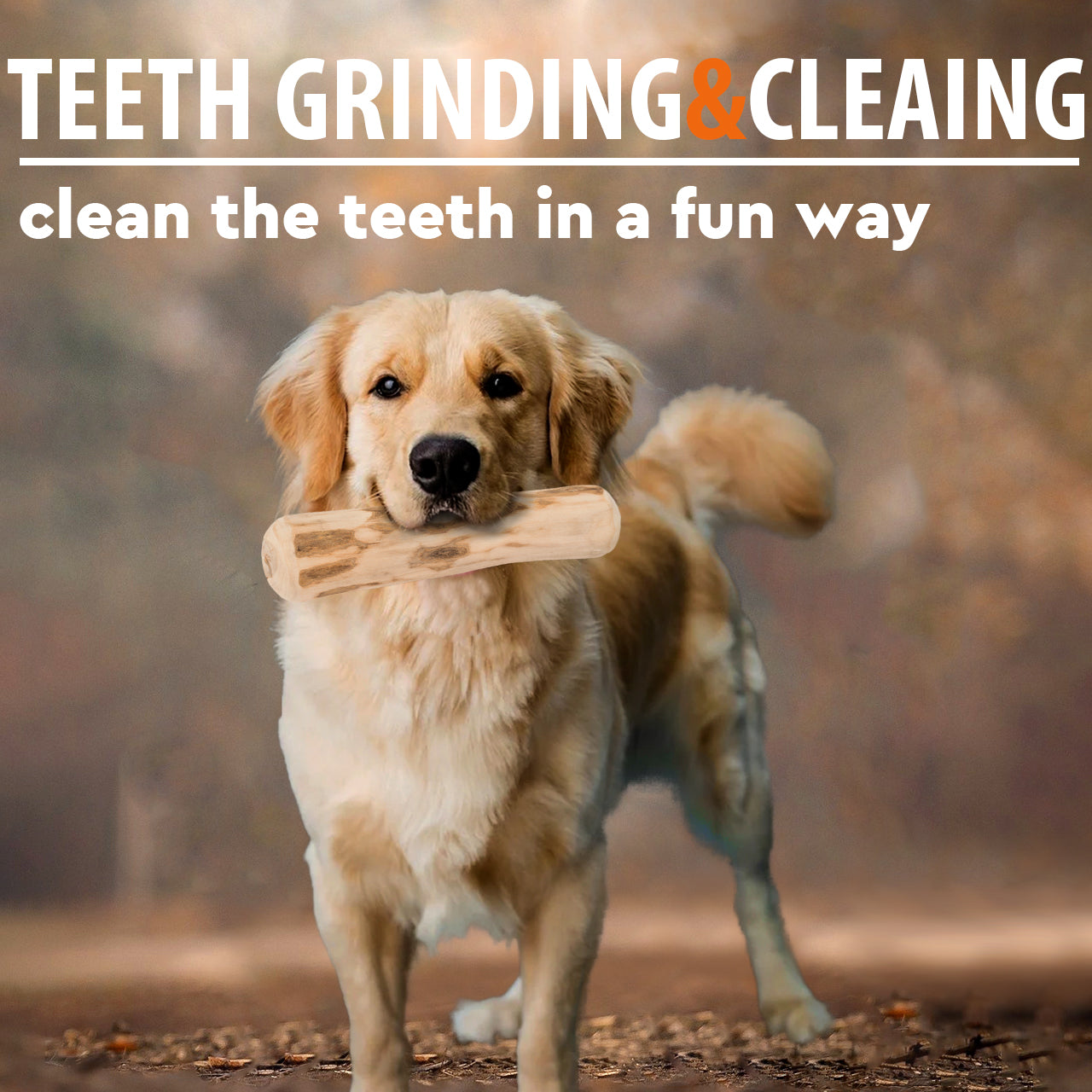 Dog Coffee Wood Chewing Stick