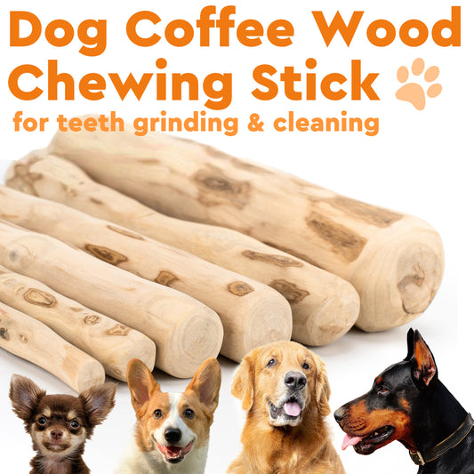 Dog Coffee Wood Chewing Stick
