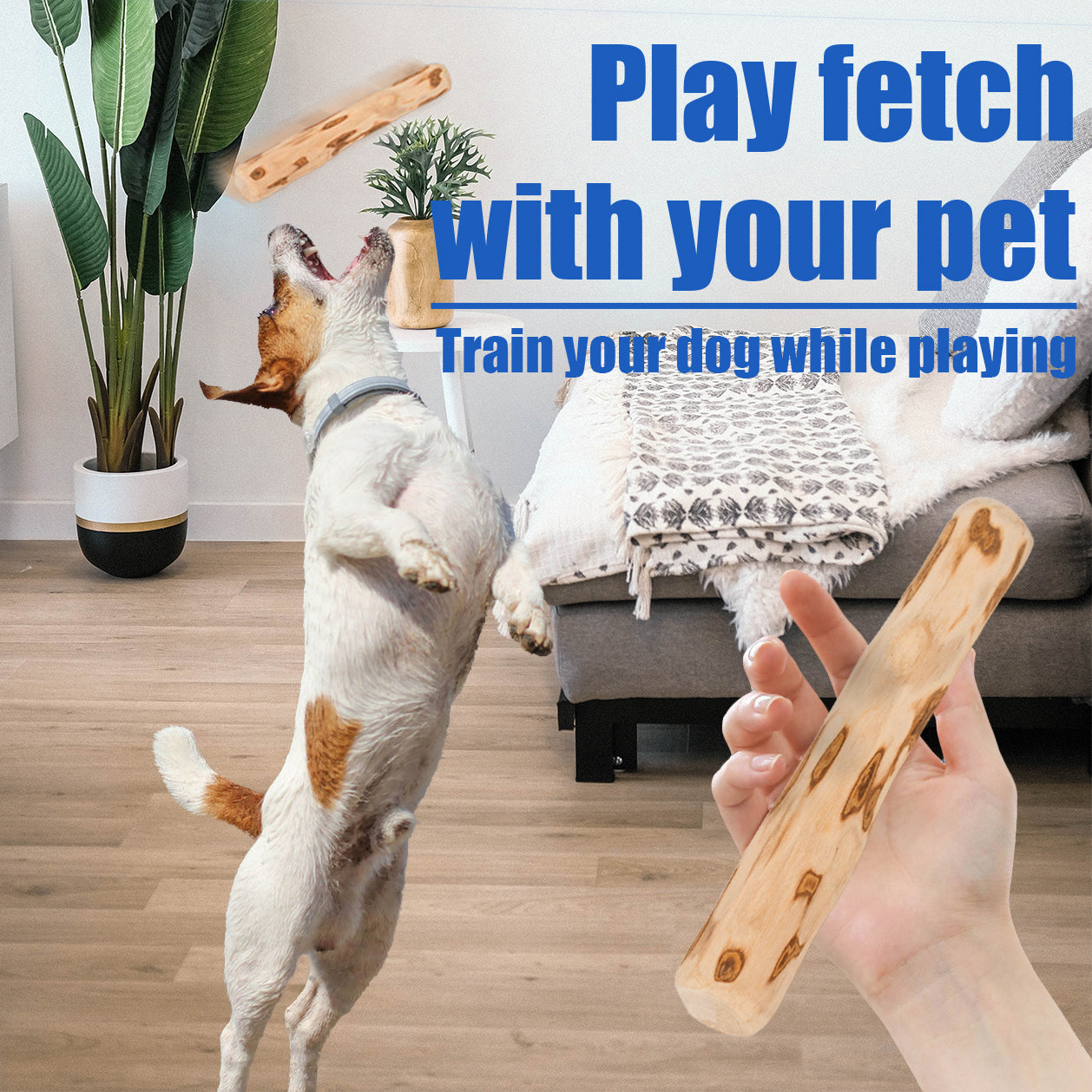 Dog Coffee Wood Chewing Stick