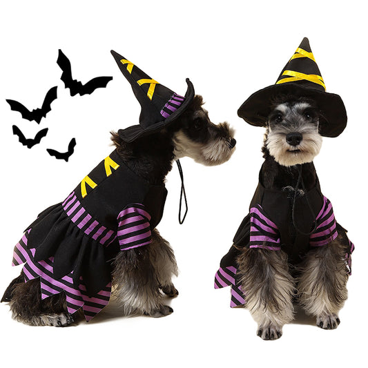 Halloween Witch Pet Cosplay Costume for Dog