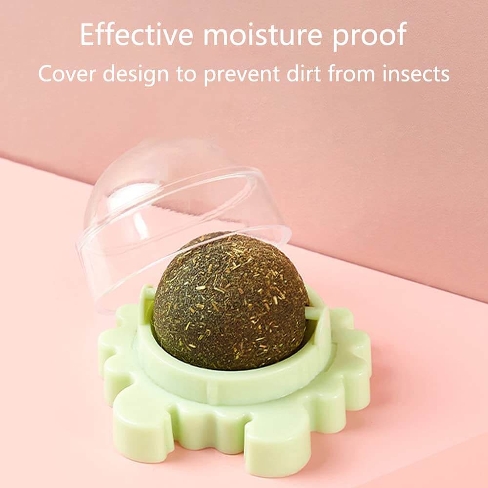 360° Crab Rotated Catnip Ball  Molar Teeth Licking°
